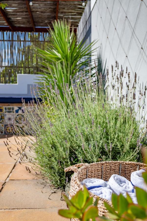 Hout & About Guest House Hout Bay Esterno foto